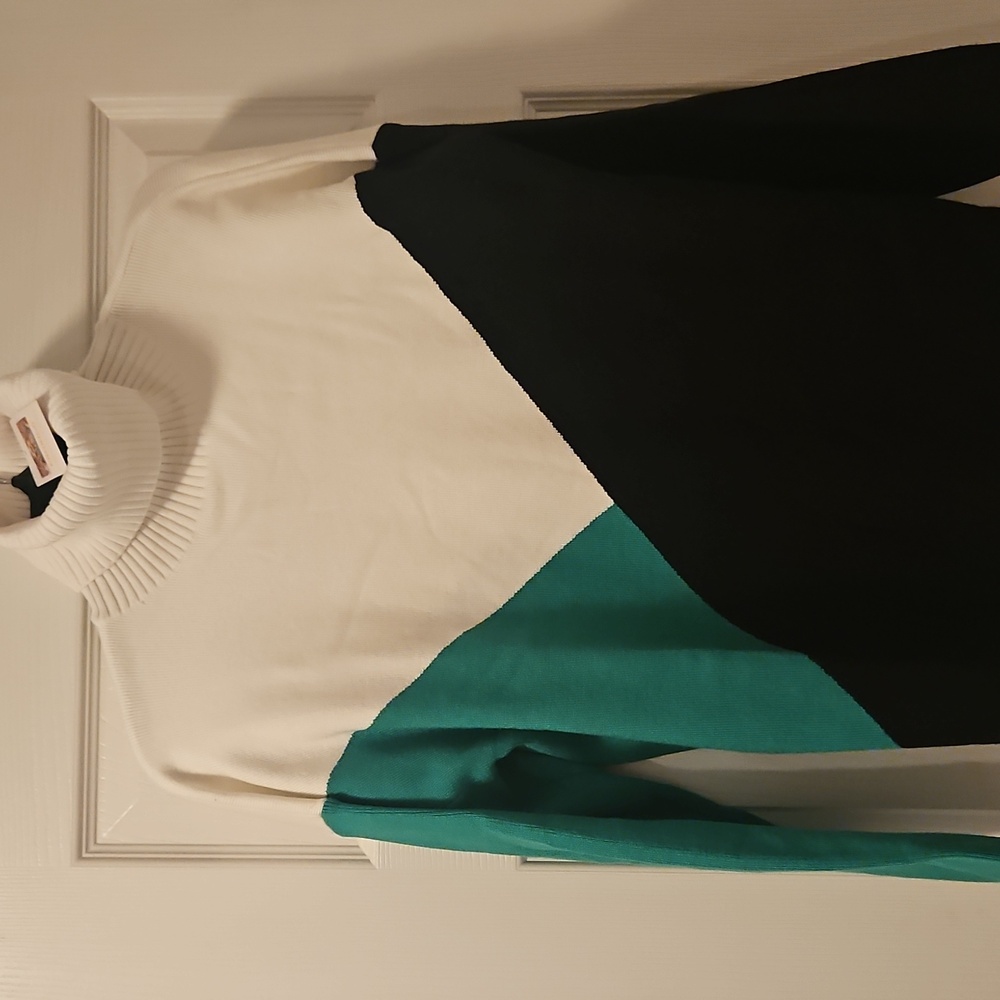 Elegant Colorblock Turtleneck Sweater
